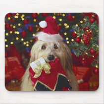 Dogs - 2 mousepads