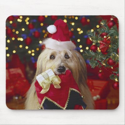 Dogs - 2 mouse pad by MuseMagic