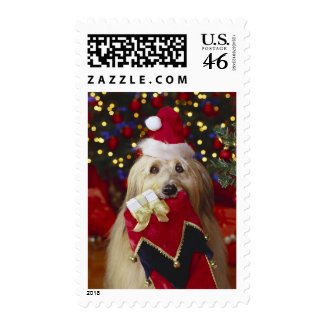 Dogs - 2 postage stamp