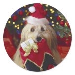 Dogs - 2 sticker
