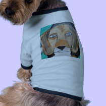 dogs and cats by eric ginsburg pet clothing