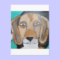 dogs and cats by eric ginsburg postcards