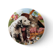 Dogs and cats do get along pinback buttons
