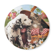 Dogs and cats do get along fridge magnets