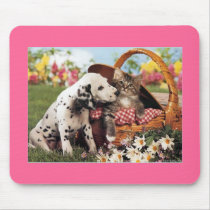 Dogs and cats do get along mouse pad