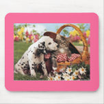 Dogs and cats do get along mouse pad