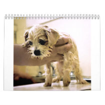 Dogs and Cats : Photographs and Drawings calendars by rozmcq Dogs and Cats : Photographs and Drawings calendars