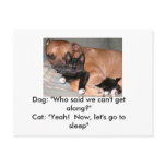 Dogs-and-Cats Postcard
