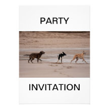 Dogs at the Beach Party Invitation