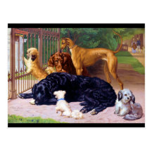 Dogs at the Gate Post Cards