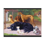 Dogs at the Gate Post Cards