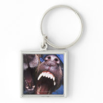 Dogs barking key chains