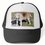 Dogs Beagles Mesh Hat