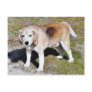 Dogs Beagles Postcards