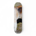 Dogs Beagles Skate Board