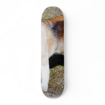 Dogs Beagles Skate Board