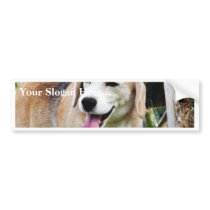 Dogs Beagles Tongues Fur Panting Bumper Stickers