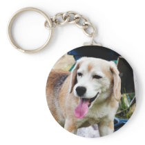 Dogs Beagles Tongues Fur Panting Keychain