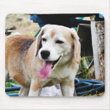 Dogs Beagles Tongues Fur Panting Mousepads