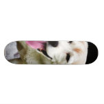 Dogs Beagles Tongues Fur Panting Skate Board Decks