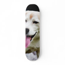 Dogs Beagles Tongues Fur Panting skateboards