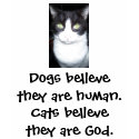 Dogs believe they are human. Cats believe... t-shirts