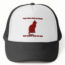 Dogs believe they are human... hats