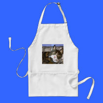 dogs by eric ginsburg aprons