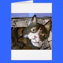 dogs by eric ginsburg cards