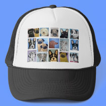 dogs by eric ginsburg hats