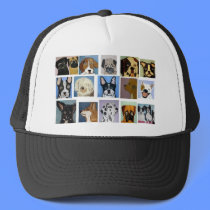 dogs by eric ginsburg hats