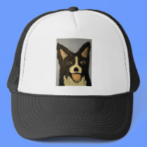dogs by eric ginsburg hats