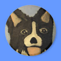 dogs by eric ginsburg magnets