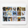 dogs by eric ginsburg mouse pad