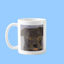 dogs by eric ginsburg mugs by egins11009 dogs by eric ginsburg mugs