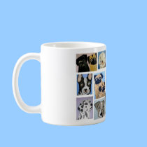 dogs by eric ginsburg mugs
