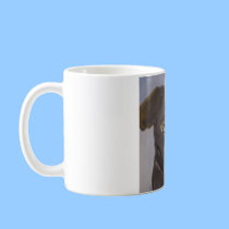 dogs by eric ginsburg mugs by egins11009 dogs by eric ginsburg mugs