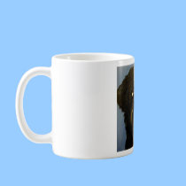 dogs by eric ginsburg mugs