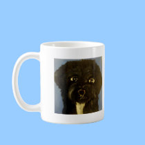 dogs by eric ginsburg mugs