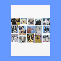 dogs by eric ginsburg postcards