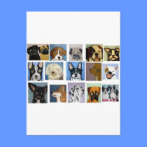 dogs by eric ginsburg postcards