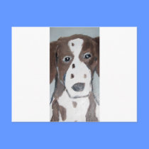 dogs by eric ginsburg postcards