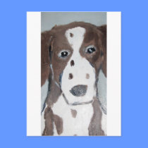 dogs by eric ginsburg postcards