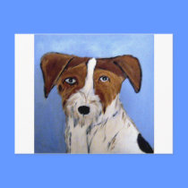 dogs by eric ginsburg postcards