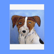 dogs by eric ginsburg postcards