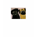 dogs by eric ginsburg t-shirts by worldofericginsburg dogs by eric ginsburg t-shirts