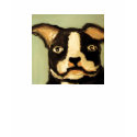 dogs by eric ginsburg t-shirts by worldofericginsburg dogs by eric ginsburg t-shirts