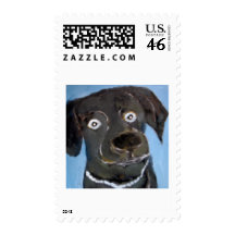 dogs by eric ginsburg stamp