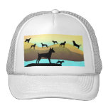 Dogs By The Sea Hats