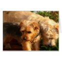Dogs cards by Samanthacat Dogs cards